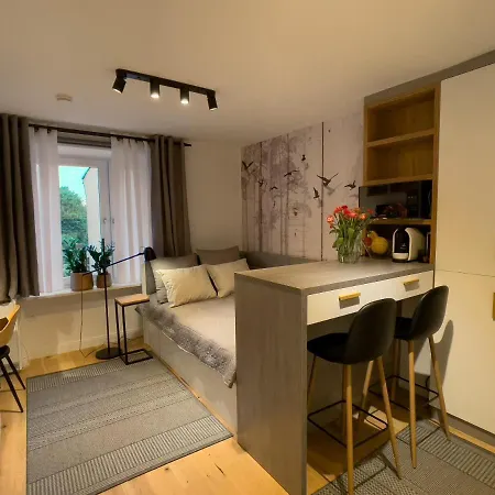 Urban Apartments Dluga 40 No 11, Free Public Parking, Self Check-In Chorzów Exterior foto